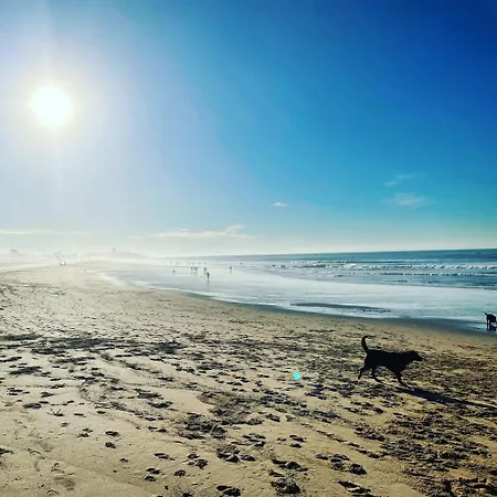 New 3 Bedroom Beachfront דירה *